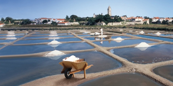 COOPÉRATIVE DES PRODUCTEURS DE SEL – NOIRMOUTIER – NOIRMOUTIER (VENDÉE)