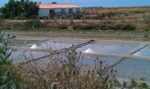 Ecomusée du Marais Salant à Loix - Île de Ré