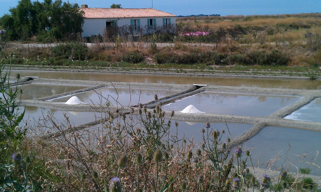 Ecomusée du Marais Salant à Loix - Île de Ré