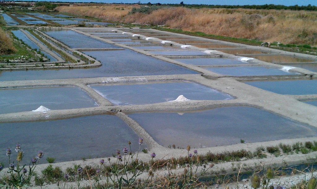 Ecomusée du Marais Salant à Loix, sur l'Île de Ré