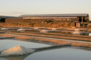 Terre de Sel à Guérande en Loire-Atlantique