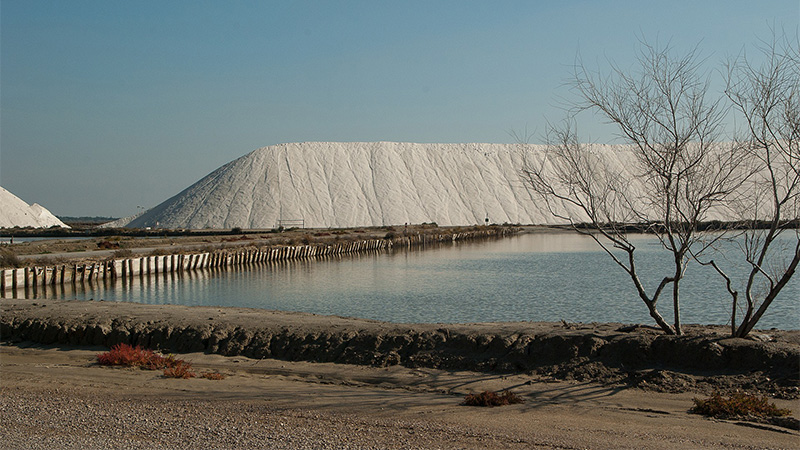 L’ESSOR DES MARAIS SALANTS DE CAMARGUE