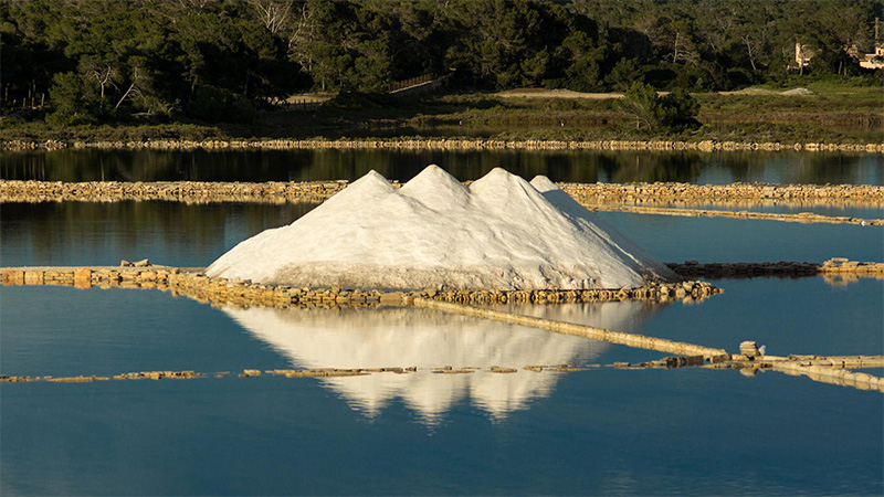 LE SEL, MATIÈRE PREMIÈRE DE L’INDUSTRIE DU MINERAI D’ARGENT