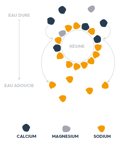 Phase d’adoucissement de l’eau par résines échangeuses d’ions © CSF