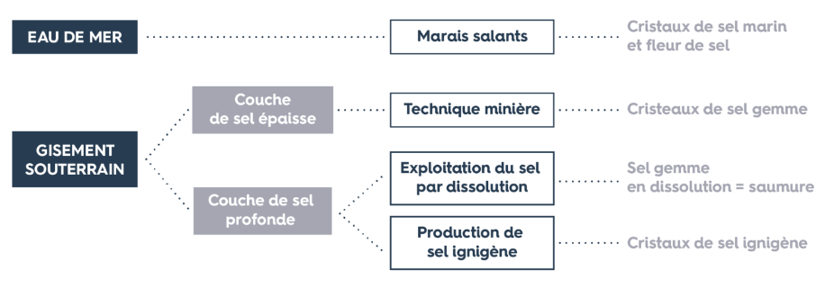 Panorama des modes de production du sel, les lieux de production en France