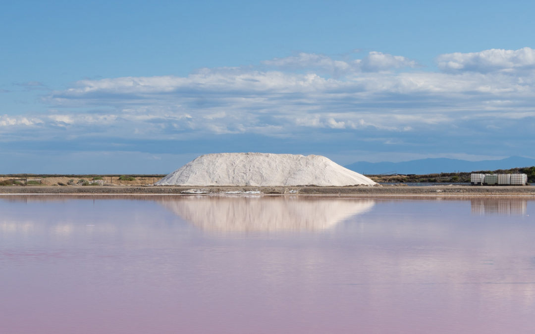 Sel et tourisme : cap sur les salins de l’été